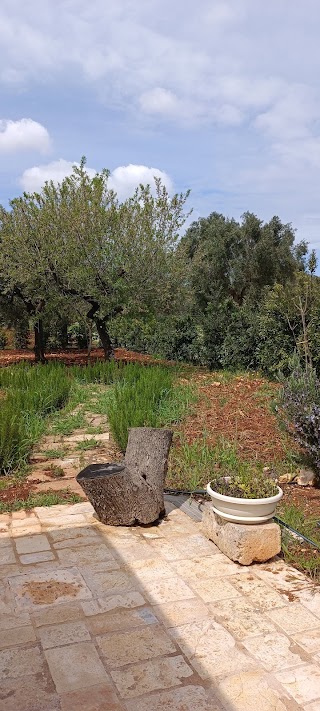 Trulli alla controra