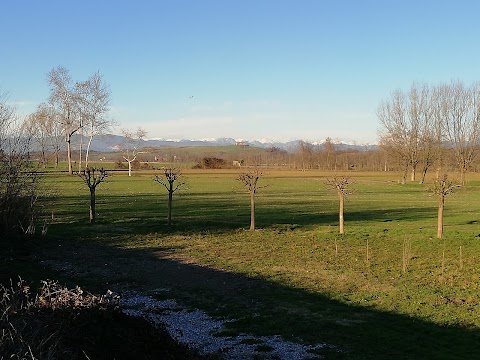 Bosco di Teb