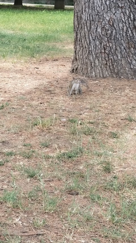 Parco Falcone e Borsellino