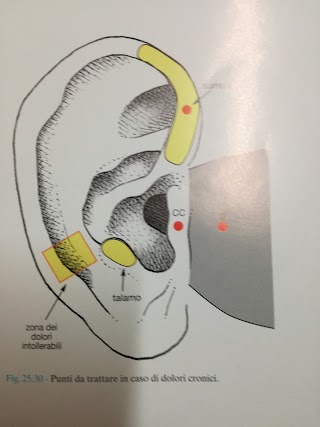 Medico Chirurgo Specialista in Fisioterapia Dott.ssa BIGNAMI ANTONELLA