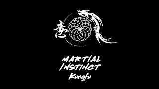 Martial Instinct Kungfu