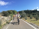 Fiesole Bike tours