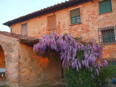 agriturismo IL TORRIONE