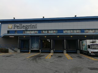 Gruppo Pellegrini Spa