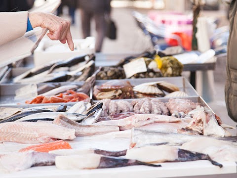 Pescheria del Golfo di De Santo Mauro