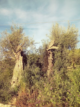 Casa Valcanzjiria