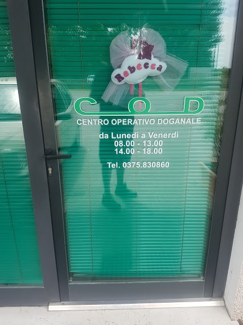 Centro Operativo Di Servizio Doganale Codsd Srl