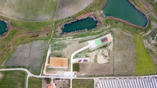 Pensione per cani Belvedere sui laghi