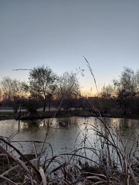 Oasi Naturalistica della Martesana