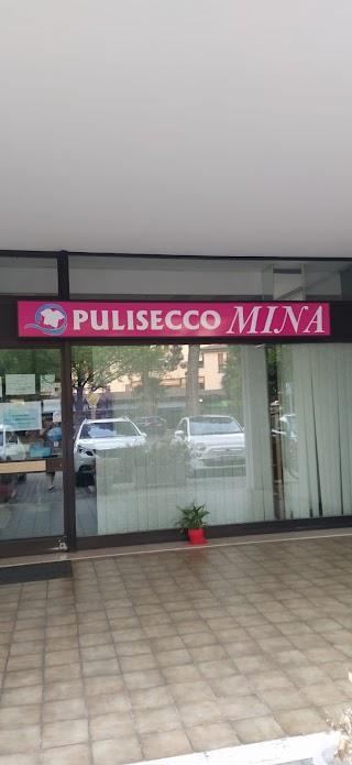 Pulisecco Mina