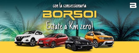 Borsoi Nissan SEAT Multibrand