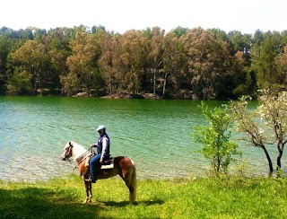 Matera Adventure - Tour e Escursioni a cavallo e in bici