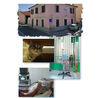 Clinica Veterinaria Saluzzo - Centro Fisioterapico