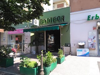 Enoteca Vitis Vinifera