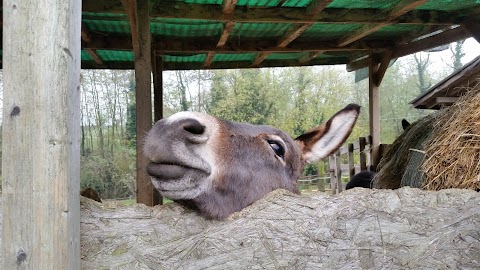 I Boschi di Fornio - Un Piccolo Rifugio di Campagna dove vivere Emozioni