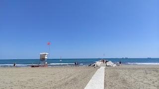 Arena Lido (La Biennale di Venezia)