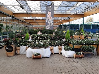 Viridea Garden Center Cusago (MI)