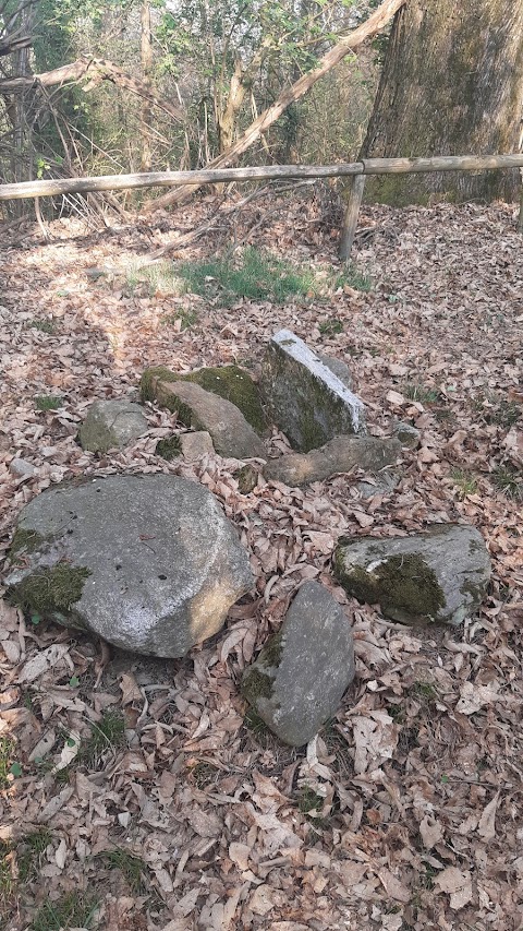 Il Lagone - Parco Naturale dei Lagoni di Mercurago