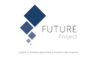 Future Project Consulting