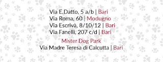 Mister Dog ShowRoom Via Fanelli