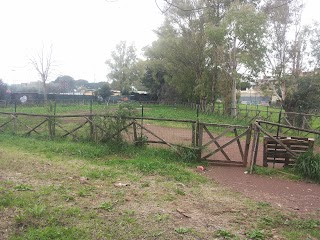 Parco di Piscine Di Torrespaccata