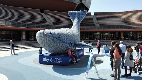 Auditorium Parco della Musica