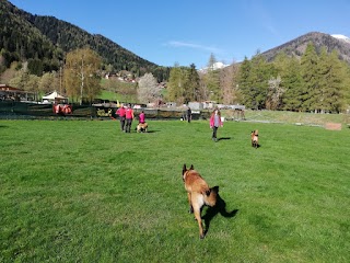 Centro Cinofilo Cane Amico Val di Sole