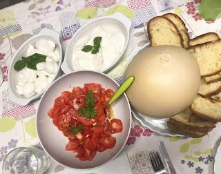 Mangia La Puglia