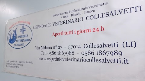 Ospedale Veterinario Collesalvetti