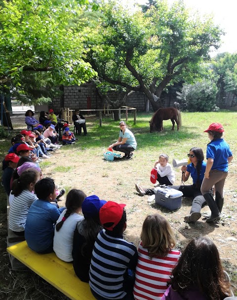 ASD Centro Ippico Country Club