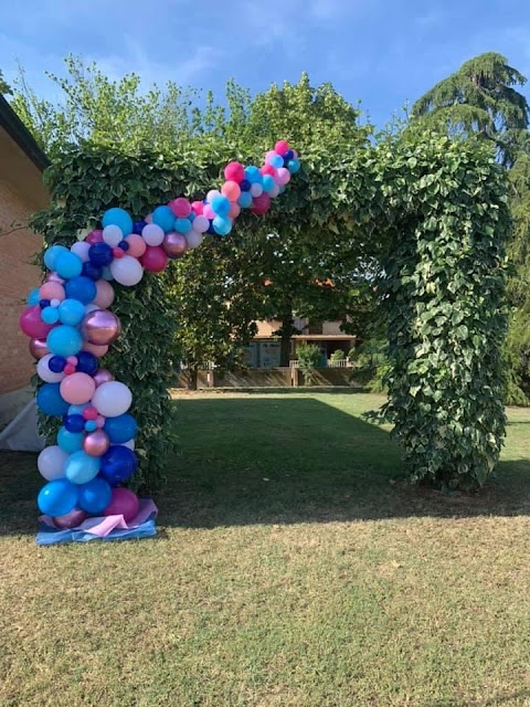 La Luna bomboniere fiori e palloncini (balloon art)