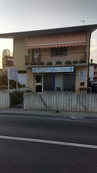 Ambulatorio Veterinario Arca di Noè Dr. Massimo Perazzetta