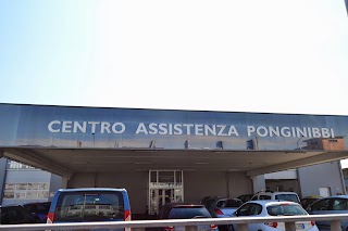 Centro Assistenza Ponginibbi