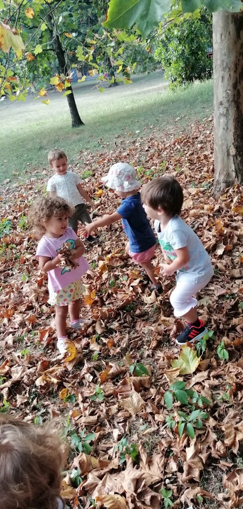 Asilo nido Il Bosco delle Meraviglie