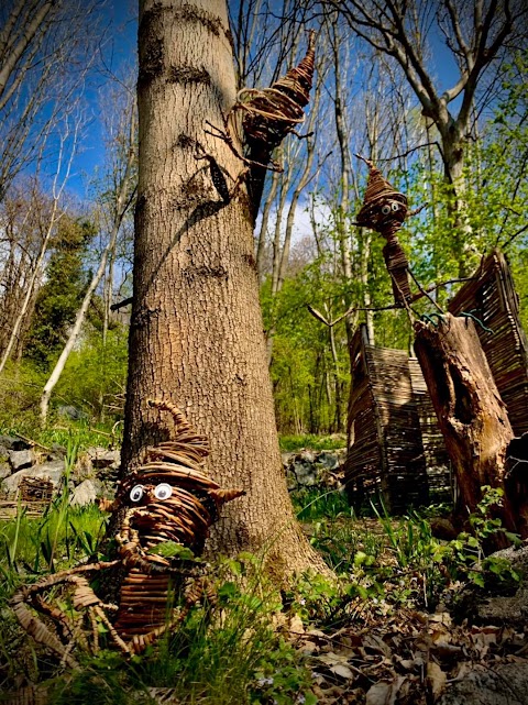 Bosco magico di Dazio