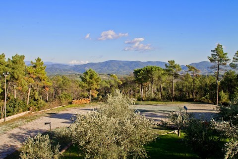 Hotel Villa Cesi