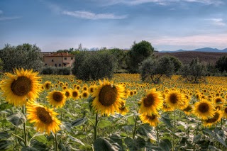 Casa Elisa