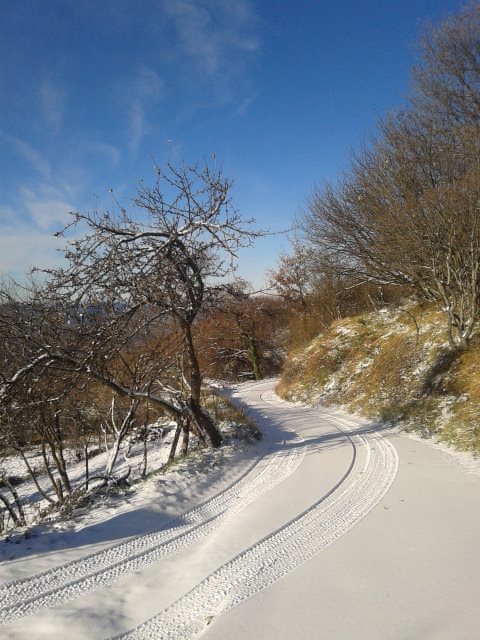 Azienda agricola Alta Valle