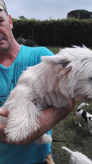 Cuccioli In Casa S.R.L.