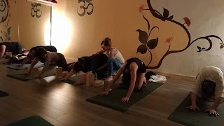 Meeting Yoga e Pilates