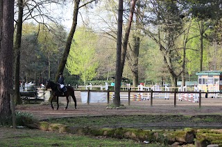 Gruppo Equestre Brughiera Asd - Riding Club Casorate