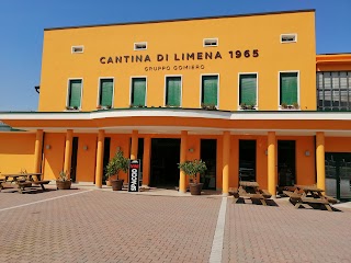 Cantina di Limena 1965