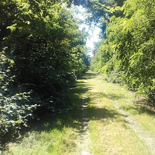 Parco naturale Del Bosco delle Sorti della Partecipanza