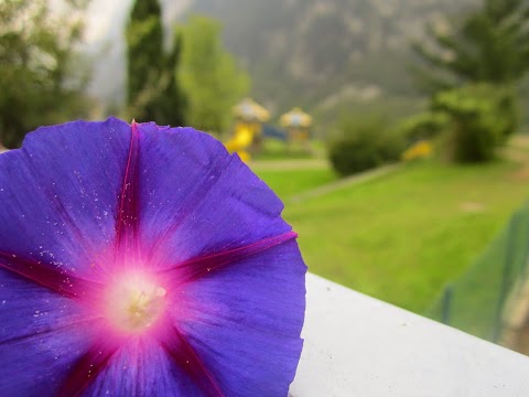 Appartamento-Vacanze Laghi di Tenno e Garda