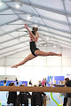Foto di Gymnica Sportclub s.s.d. a r.l. - Ginnastica Artistica - Via Ghebba 67/P, Oriago (VE), Italia
