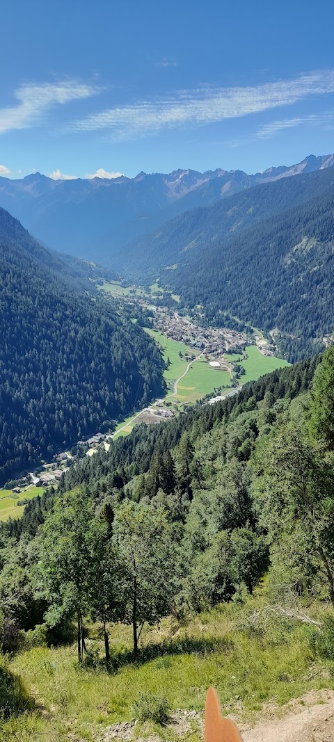 Experience Val di Sole