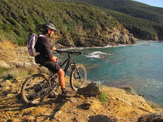 Tuscany MTB Guide