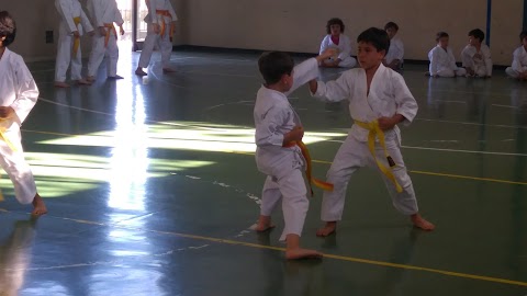 Bushido Karate asd