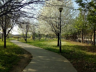 Parco Della Concordia