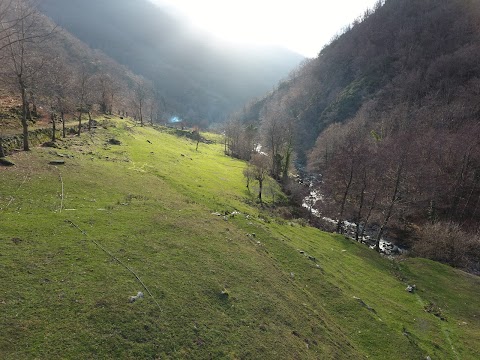 Azienda Agrituristica La Grecchia